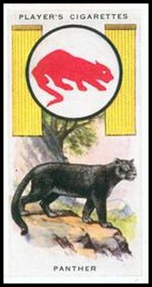 14 Panther